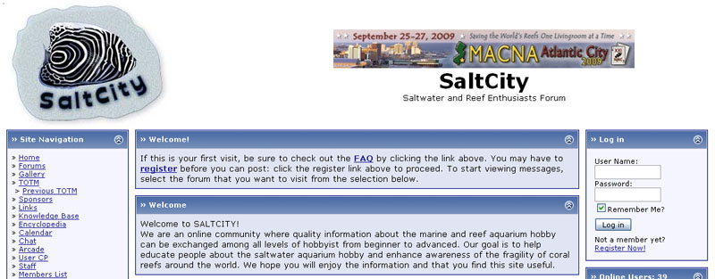 salt-city-home-page